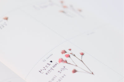 Appree Korea - Pressed Flower Stickers - Gypsophila