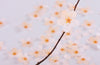 Appree Korea - Sticky Notes - White Cherry Blossom (Large Pack)