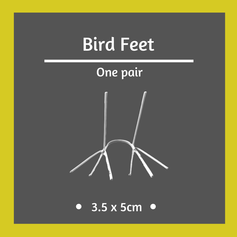 1 x Pair of Bird Feet - 3.5 x 5cm