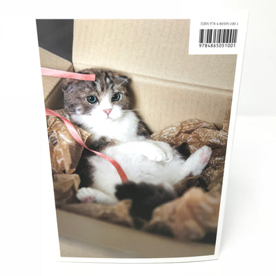 Needle Felted Kittens Book by Hinali - English Version