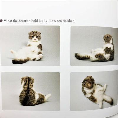 Needle Felted Kittens Book by Hinali - English Version
