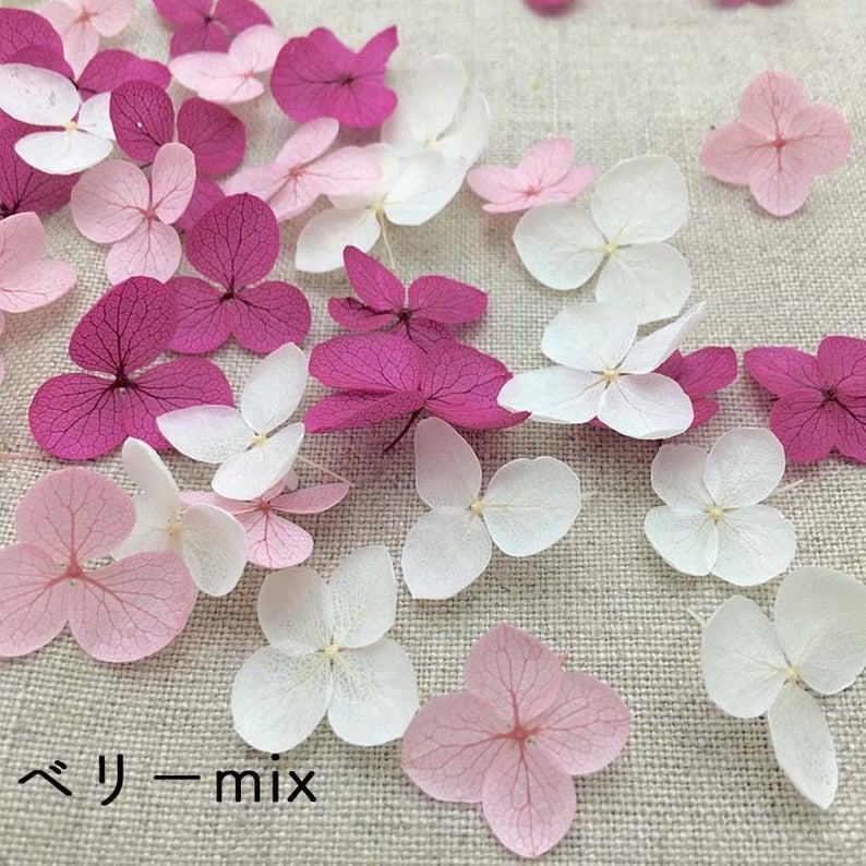 Hydrangea Petals for Resin Craft