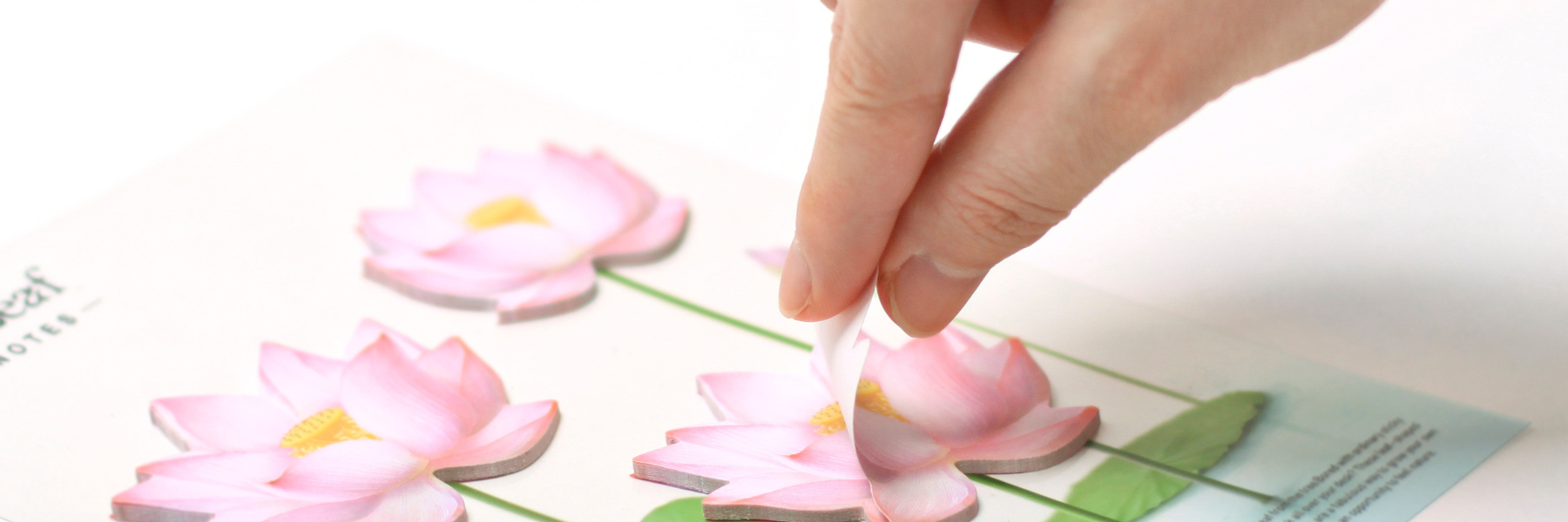 Sticky Notes