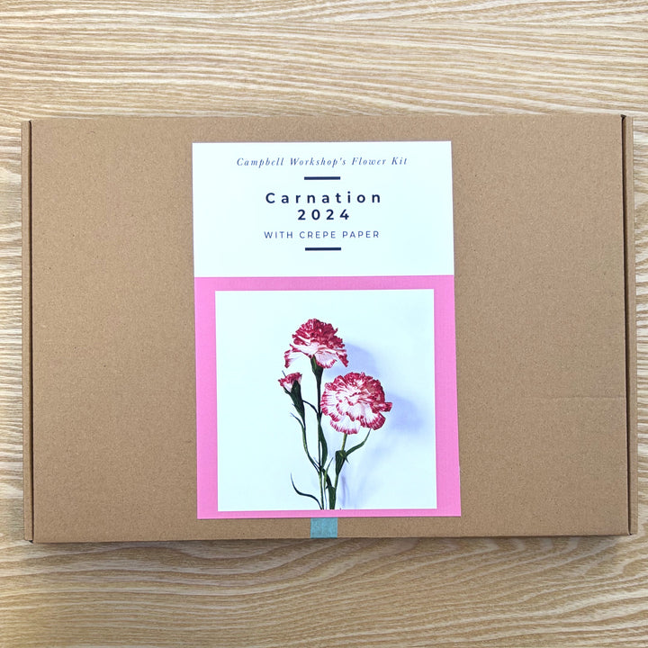 Campbell Workshop Paper Flower Craft Kit - Carnations