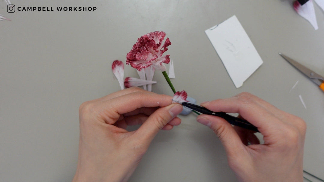 Campbell Workshop Paper Flower Craft Kit - Carnations