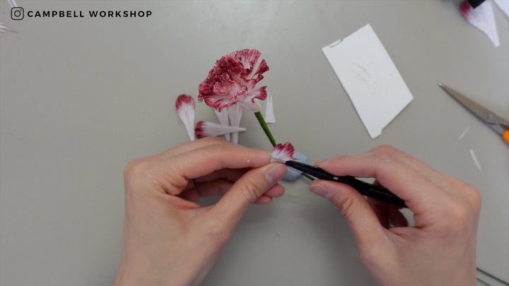 Campbell Workshop Paper Flower Craft Kit - Carnations