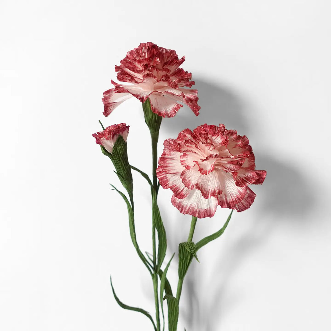 Campbell Workshop Paper Flower Craft Kit - Carnations