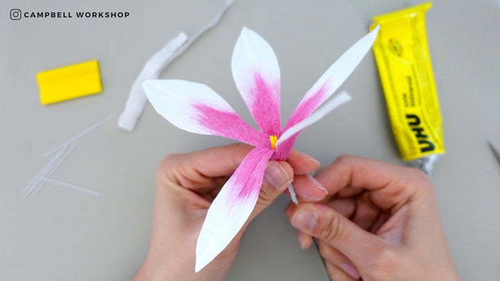Campbell Workshop Paper Flower Craft Kit - Cyclamen