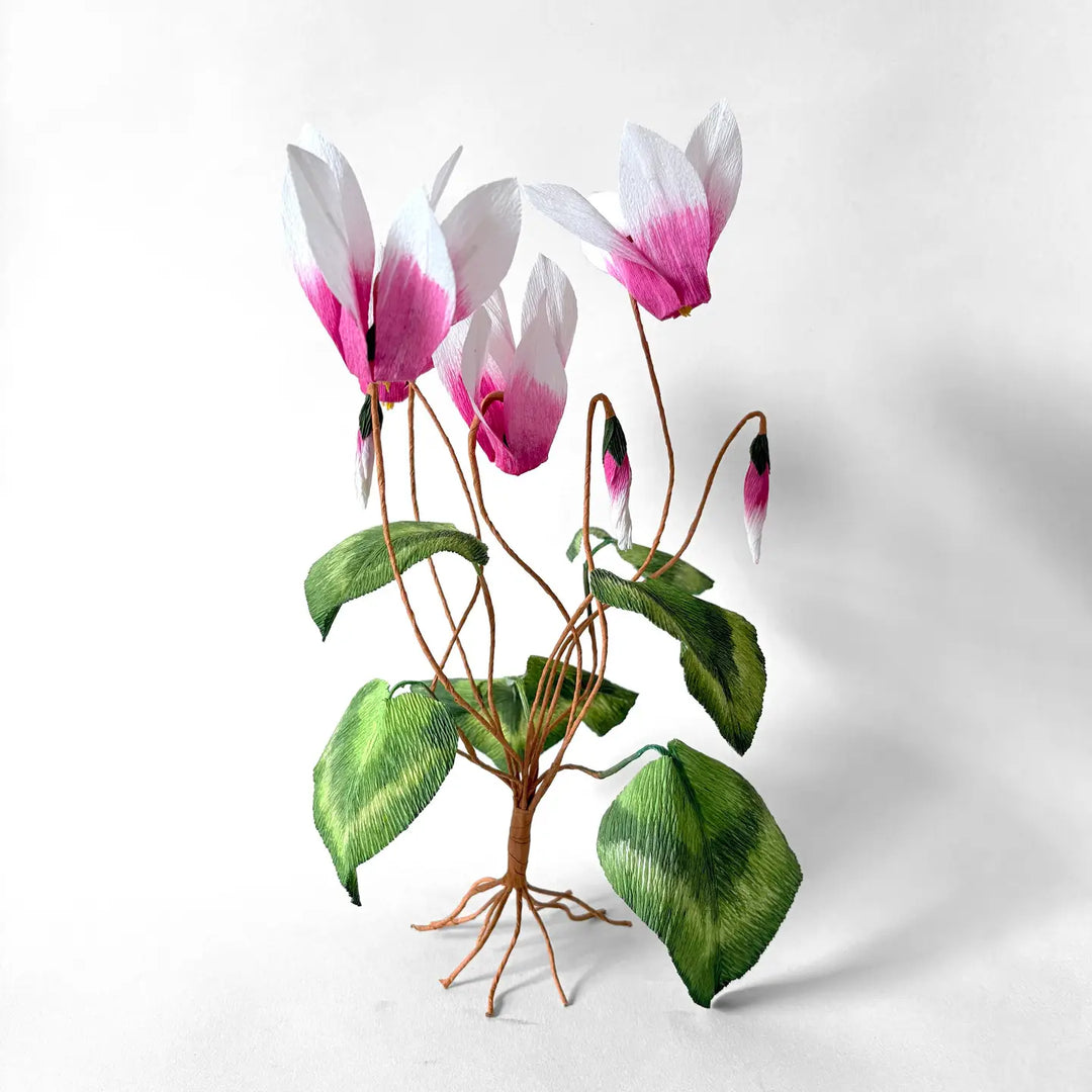 Campbell Workshop Paper Flower Craft Kit - Cyclamen