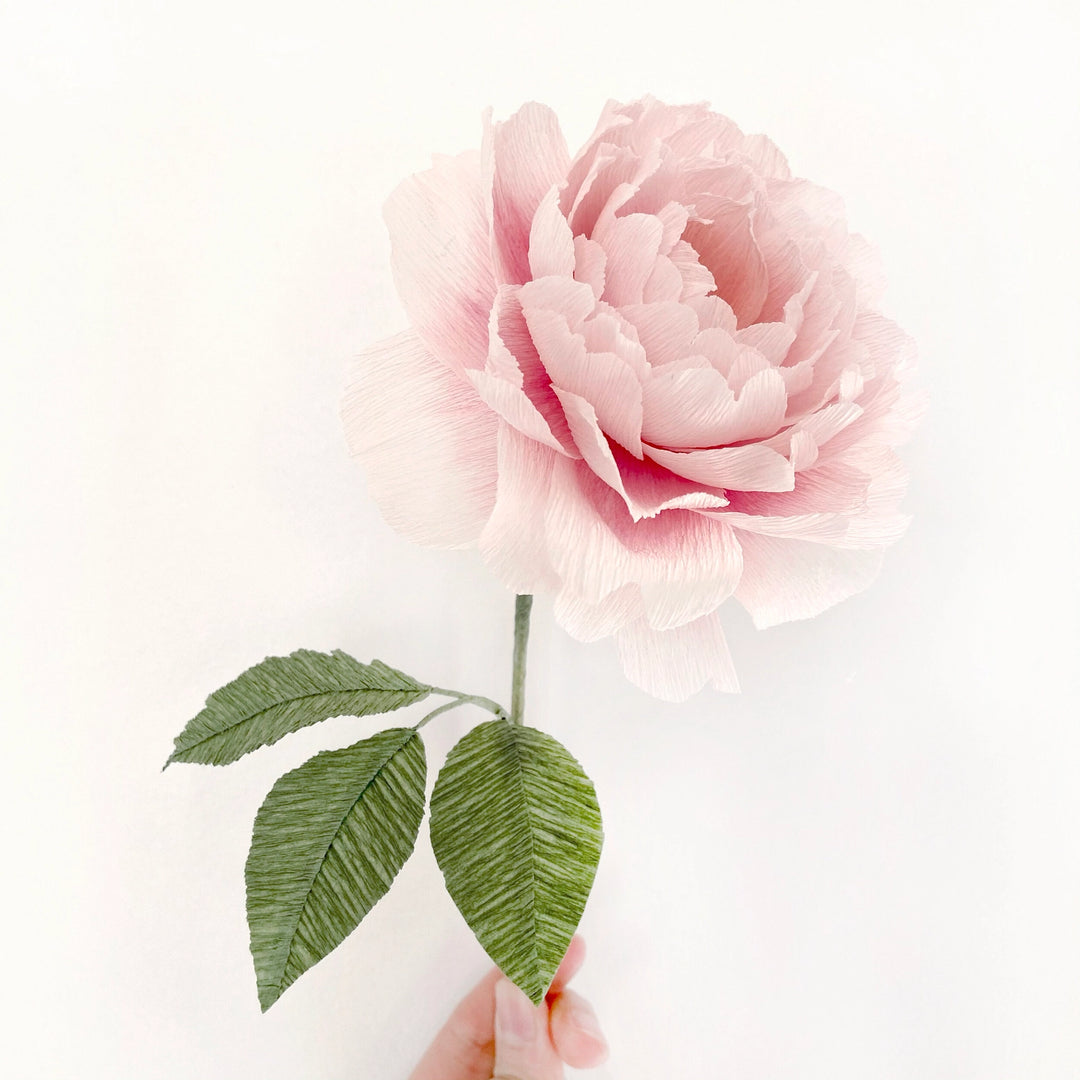 Campbell Workshop Paper Flower Craft Kit - Rose
