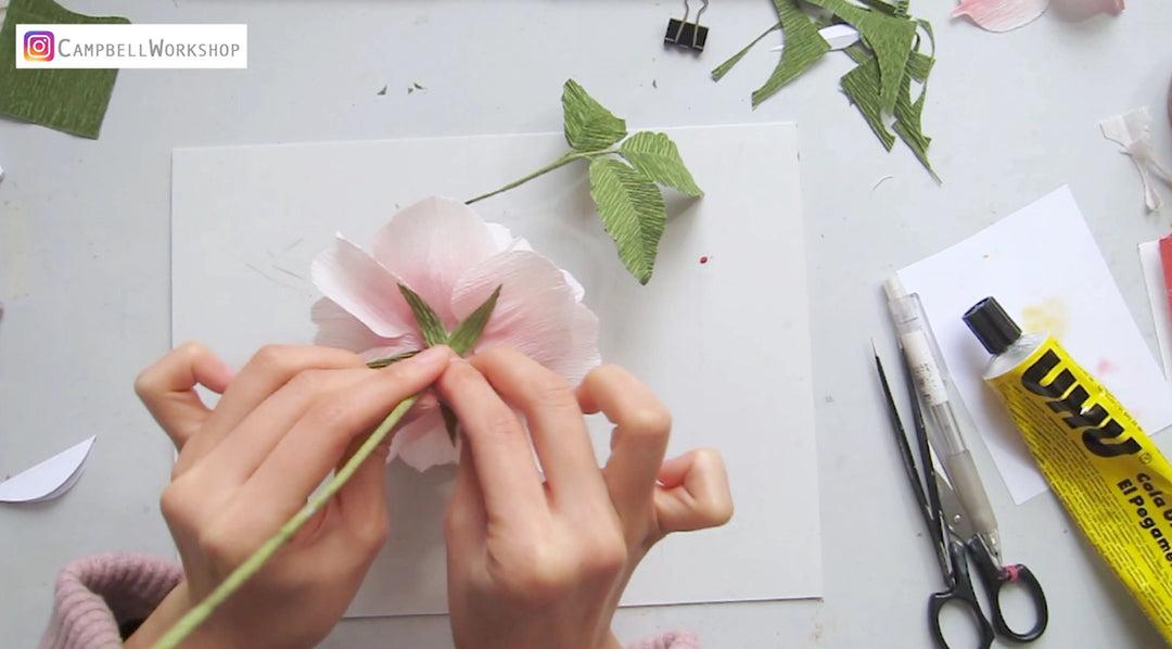 Campbell Workshop Paper Flower Craft Kit - Rose