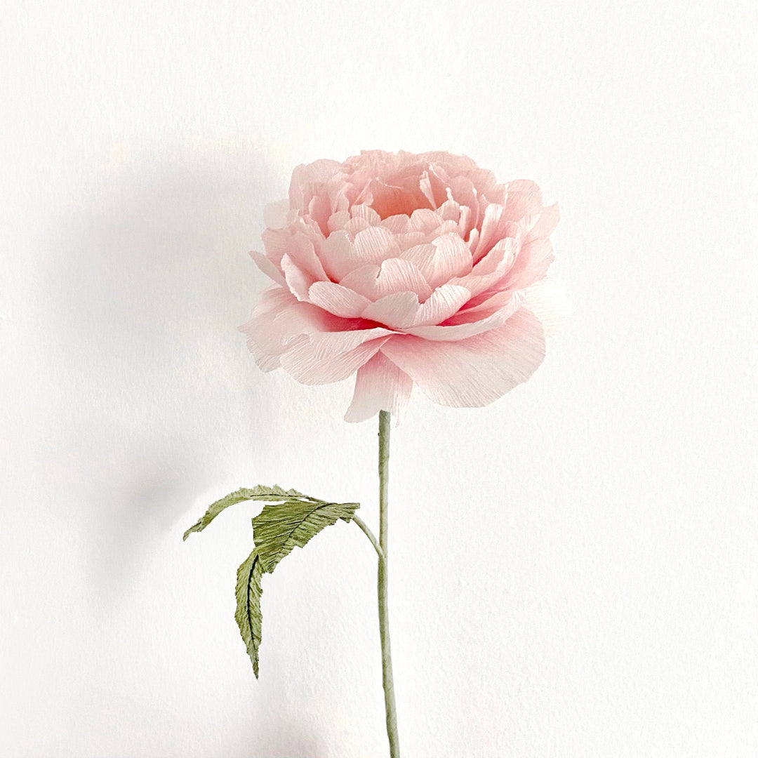 Campbell Workshop Paper Flower Craft Kit - Rose