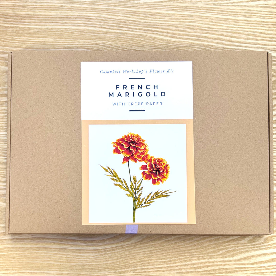 Campbell Workshop Paper Flower Craft Kit - French Marigold