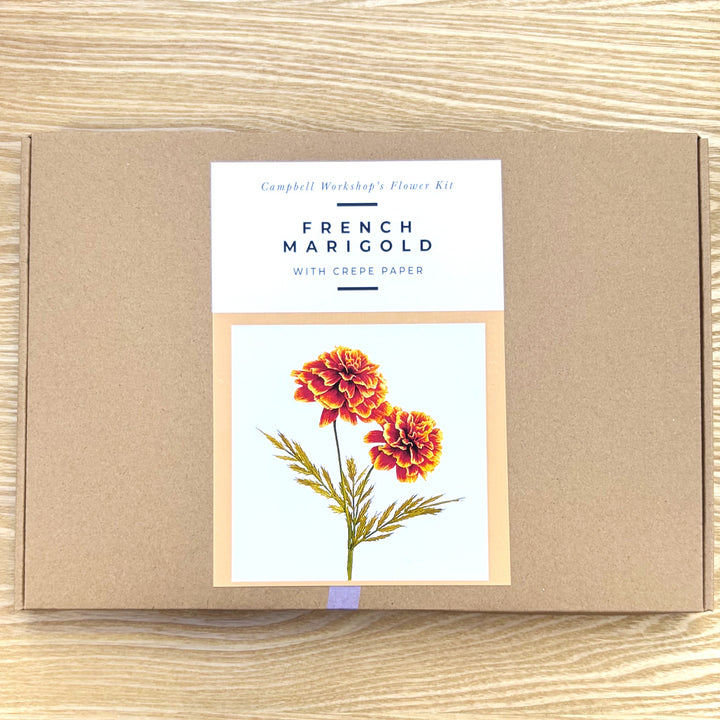 Campbell Workshop Paper Flower Craft Kit - French Marigold