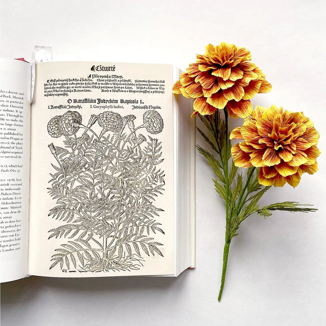 Campbell Workshop Paper Flower Craft Kit - French Marigold
