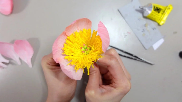 Campbell Workshop Paper Flower Craft Kit - Peony