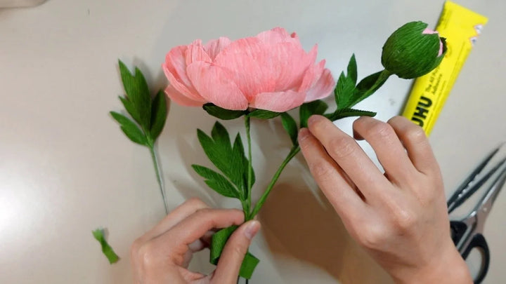 Campbell Workshop Paper Flower Craft Kit - Peony