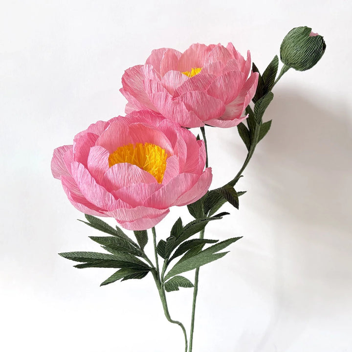 Campbell Workshop Paper Flower Craft Kit - Peony