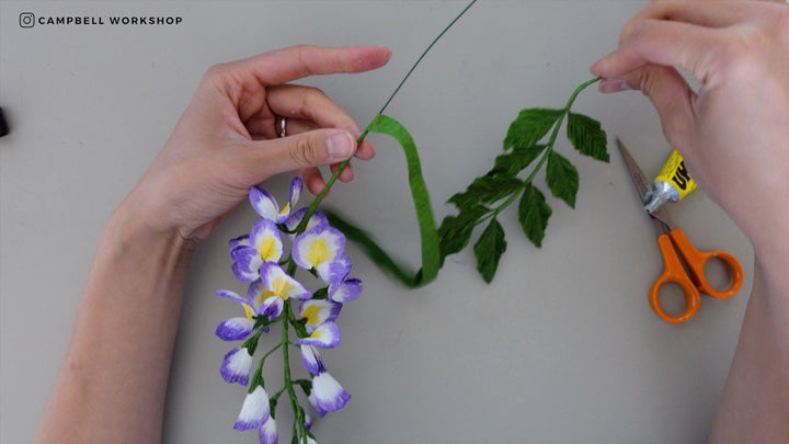 Campbell Workshop Paper Flower Craft Kit - Wisteria