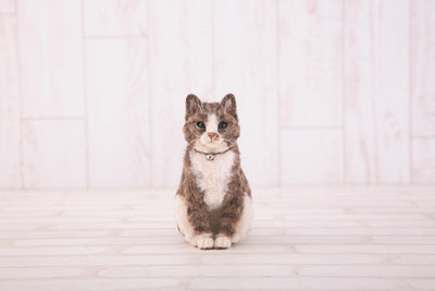 Hamanaka Realistic Needle Felting Kit - Brown Tabby Cat (English)