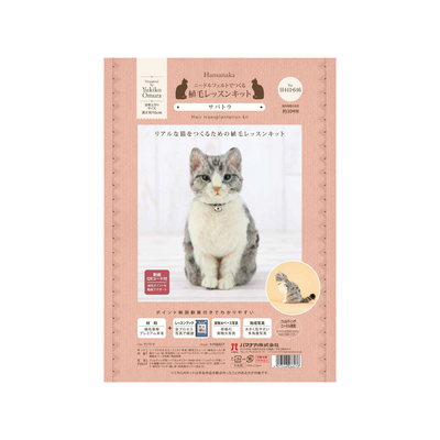Hamanaka Realistic Needle Felting Kit - Grey Tabby Cat (English)