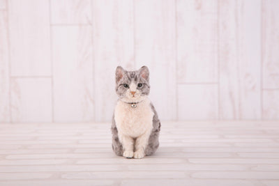 Hamanaka Realistic Needle Felting Kit - Grey Tabby Cat (English)