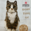 Hamanaka Realistic Needle Felting Kit - Brown Tabby Cat (English)