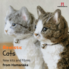 Hamanaka Realistic Needle Felting Kit - Brown Tabby Cat (English)