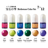 Limited Edition Padico Jewel Pigment Clear Color Set - Birthstones 7-12