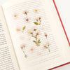 Appree Korea - Pressed Flower Stickers - Cherry Blossom