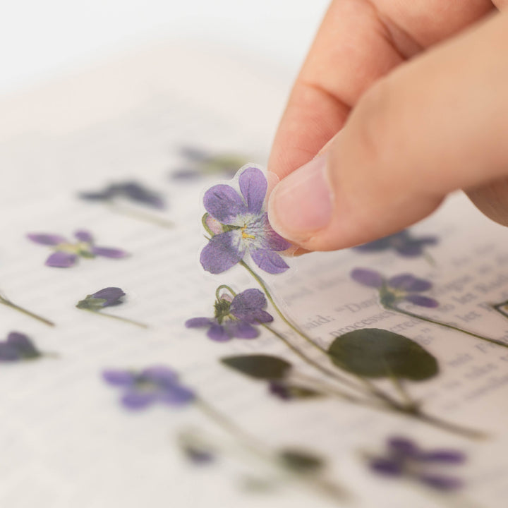 Appree Korea - Pressed Flower Stickers - Manchurian Violet
