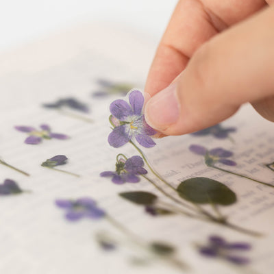 Appree Korea - Pressed Flower Stickers - Manchurian Violet