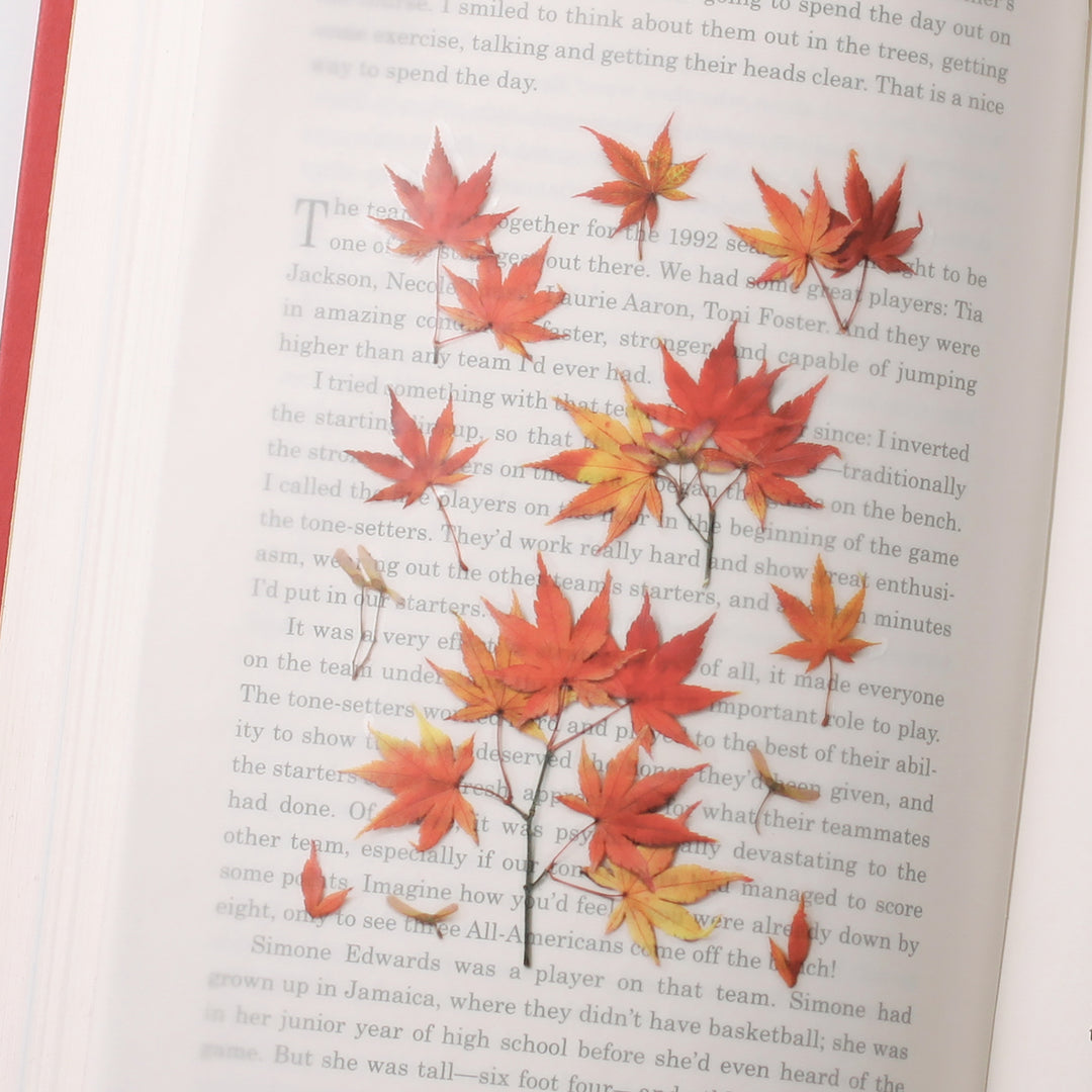 Appree Korea - Pressed Flower Stickers - Red Maple Leaves