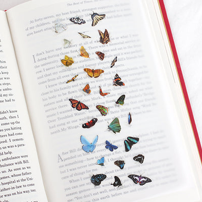 Appree Korea - Nature Stickers - Butterflies
