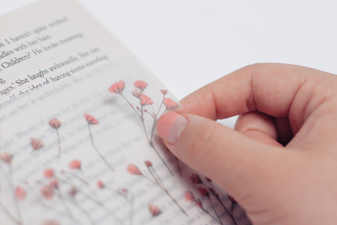 Appree Korea - Pressed Flower Stickers - Gypsophila