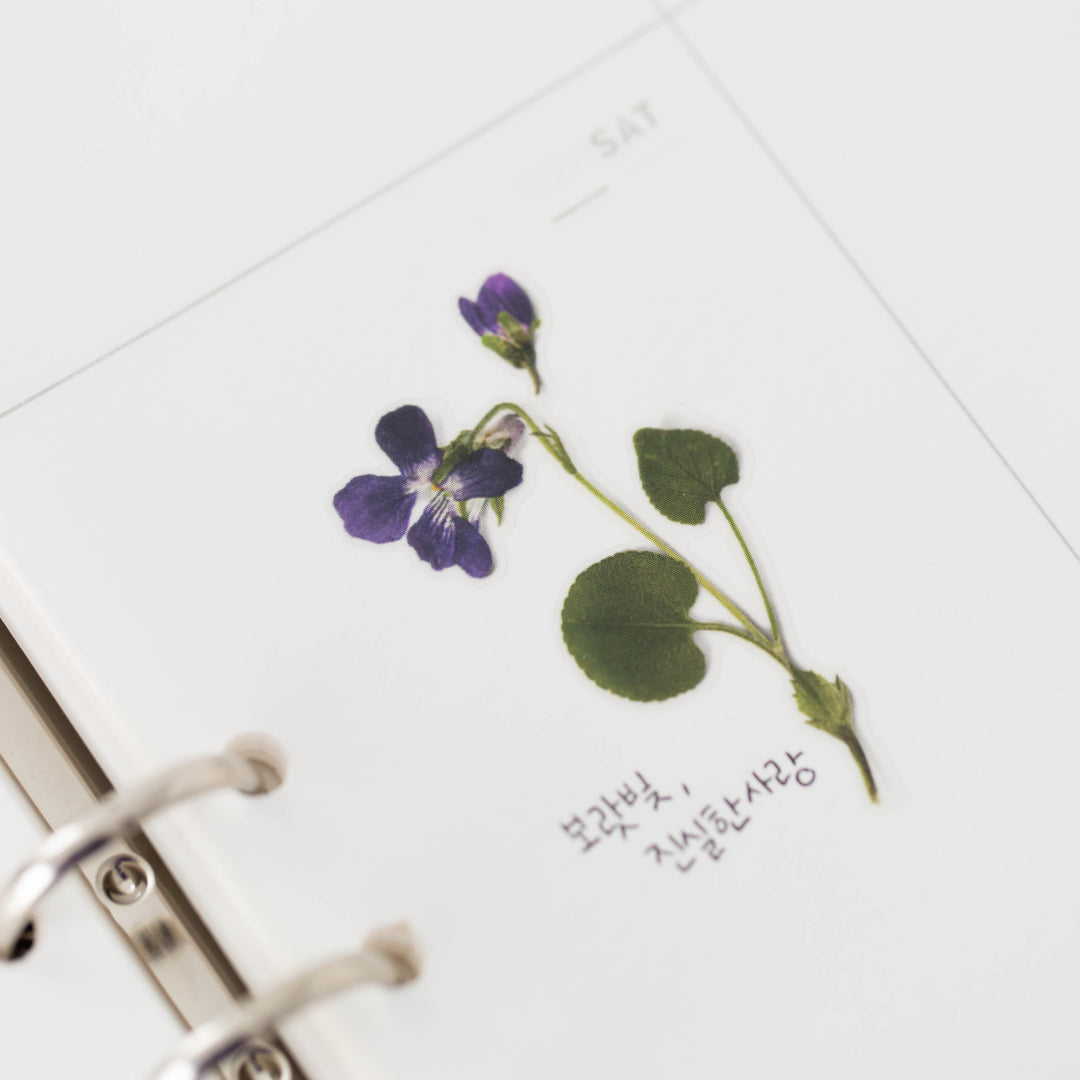 Appree Korea - Pressed Flower Stickers - Manchurian Violet