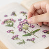 Appree Korea - Pressed Flower Stickers - Verbena