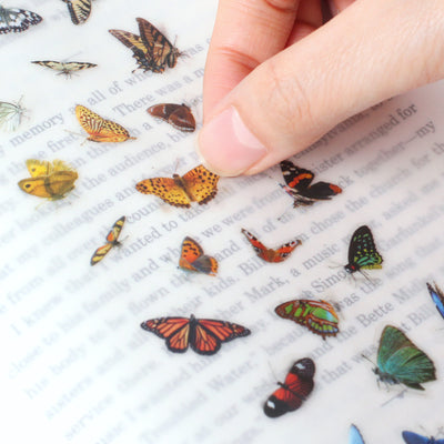Appree Korea - Nature Stickers - Butterflies