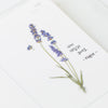 Appree Korea - Pressed Flower Stickers - Lavender