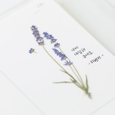 Appree Korea - Pressed Flower Stickers - Lavender