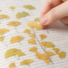 Appree Korea - Pressed Flower Stickers - Ginkgo