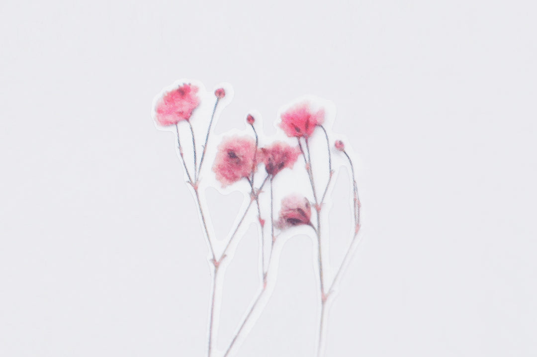Appree Korea - Pressed Flower Stickers - Gypsophila