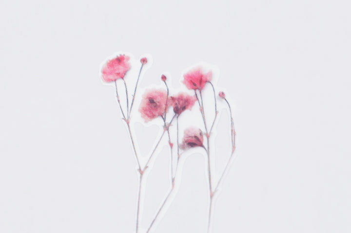 Appree Korea - Pressed Flower Stickers - Gypsophila