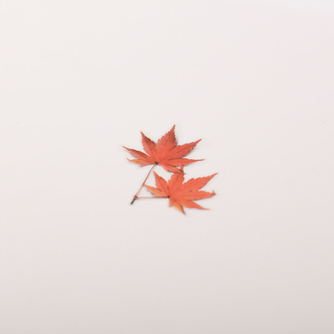 Appree Korea - Pressed Flower Stickers - Red Maple Leaves