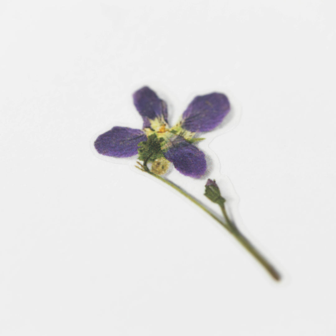 Appree Korea - Pressed Flower Stickers - Manchurian Violet