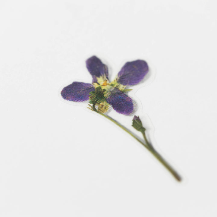 Appree Korea - Pressed Flower Stickers - Manchurian Violet