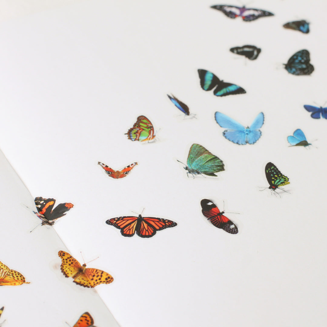 Appree Korea - Nature Stickers - Butterflies
