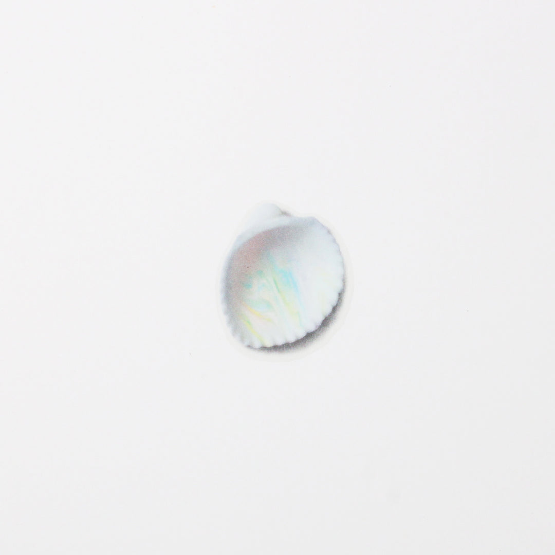 Appree Korea - Nature Stickers - Seashell
