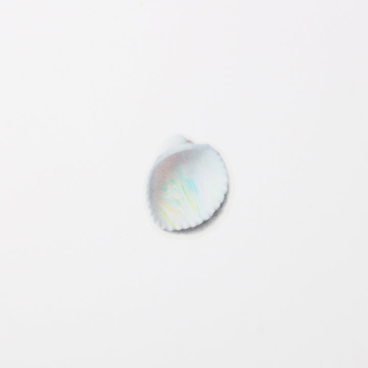 Appree Korea - Nature Stickers - Seashell