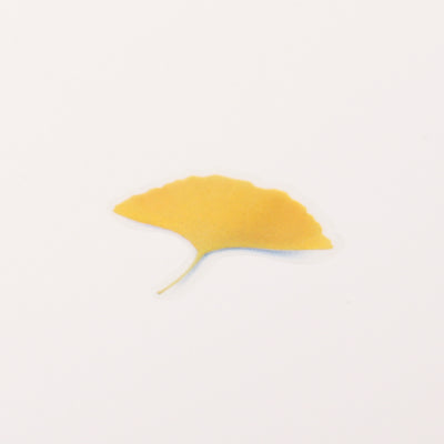 Appree Korea - Pressed Flower Stickers - Ginkgo